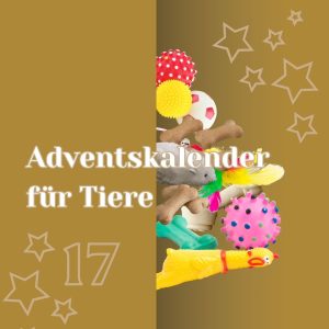 Symbolisches Adventskalendertürchen mit halb hervorschauenden Spielsachen für Tiere und Leckerli mit Beschriftung Adventskalender für Tiere